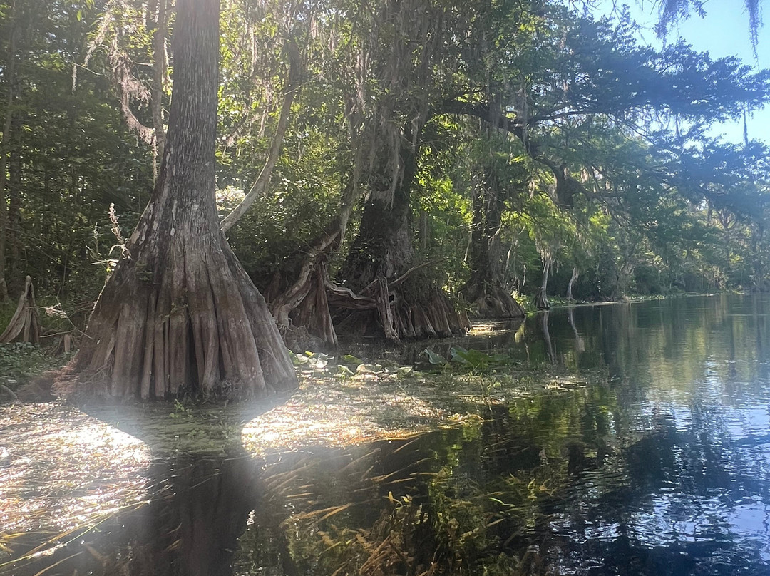 Silver Springs Kayaking LLC-Silver Springs必去景点