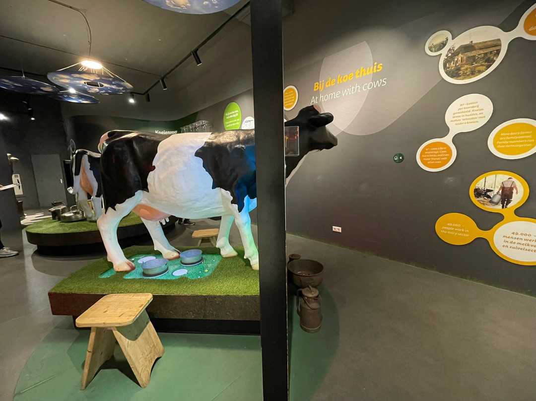 Gouda Cheese Experience-高德必去景点