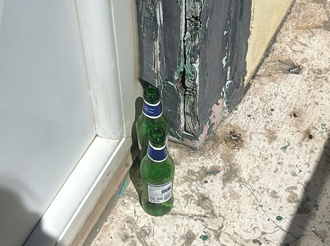 B&B Terrazza Flora主图