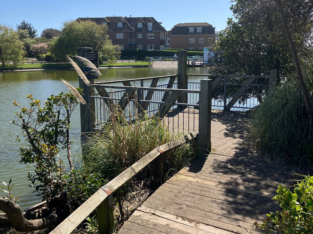 Mewsbrook Park-利特尔汉普顿必去景点