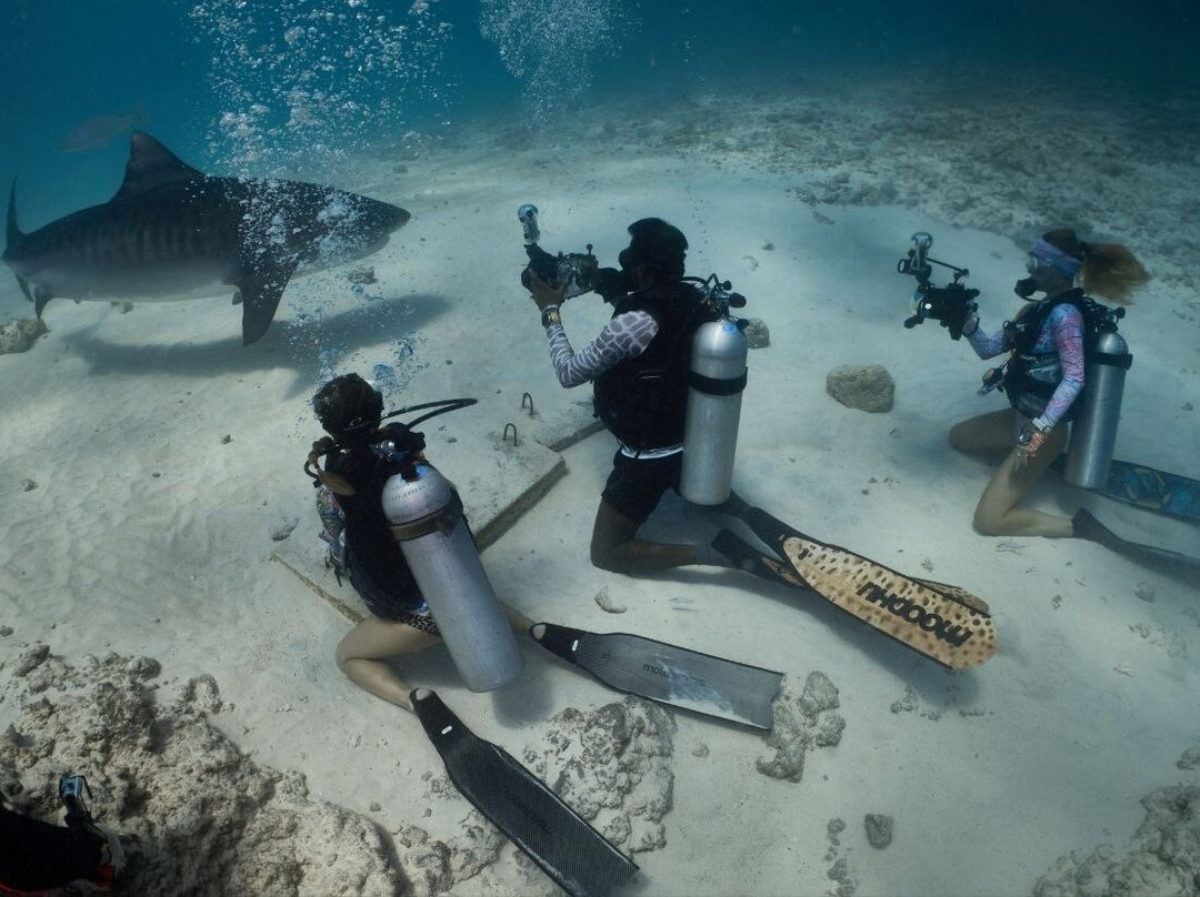 Addu Scuba Club-Hithadhoo Island必去景点