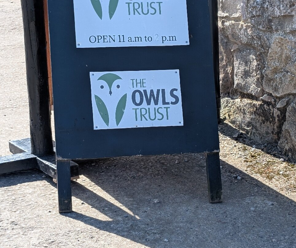 The Owls Trust-兰迪德诺必去景点