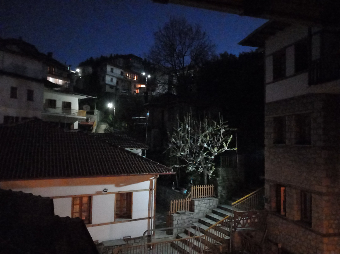 Asteri Metsovo Hotel S.A.主图