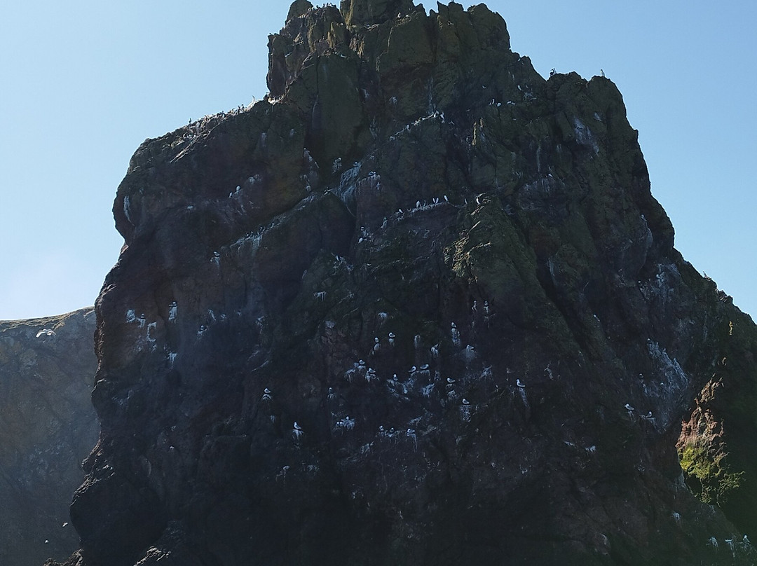 Eyemouth Rib Trips-Eyemouth必去景点