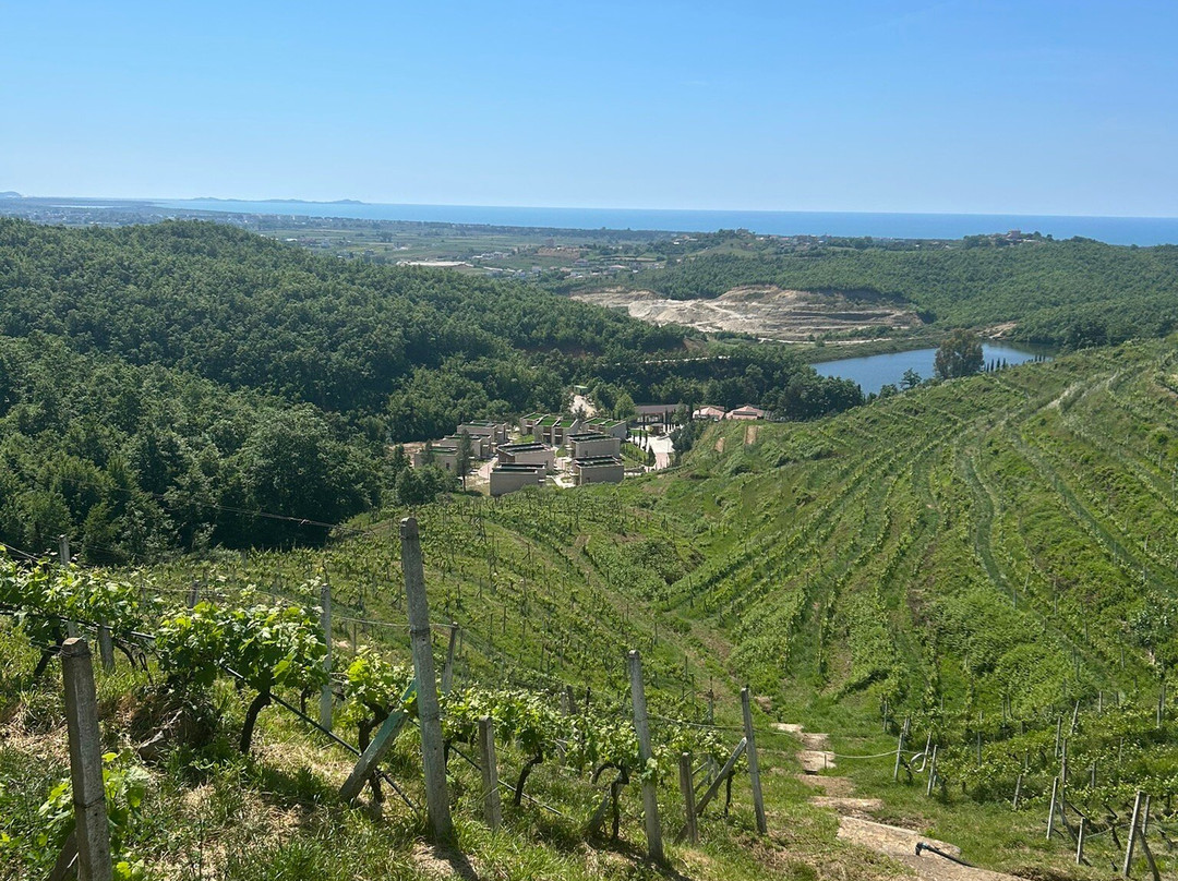Duka Winery & Vineyard-杜勒斯必去景点