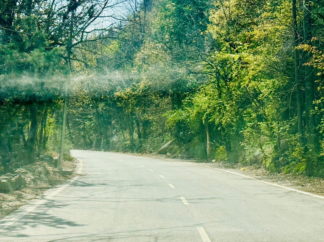Shankaracharya Hill-斯利那加必去景点