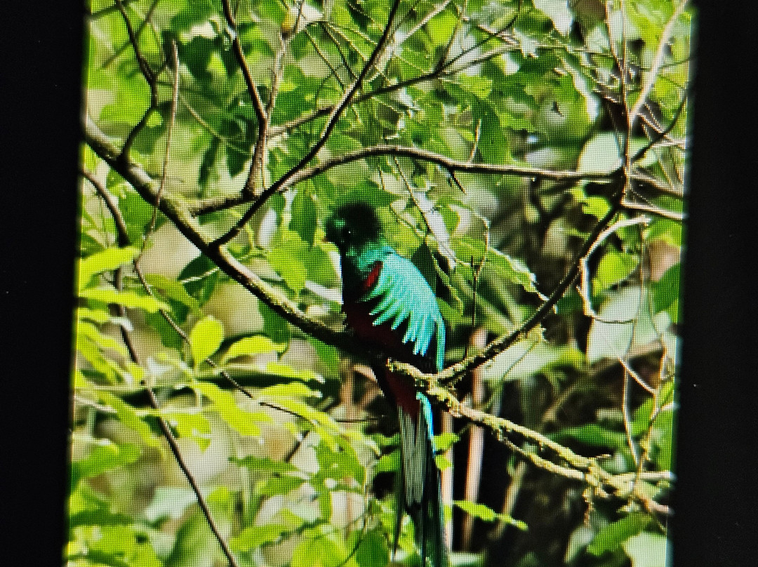 Woodpecker Educational Tours-Canas必去景点