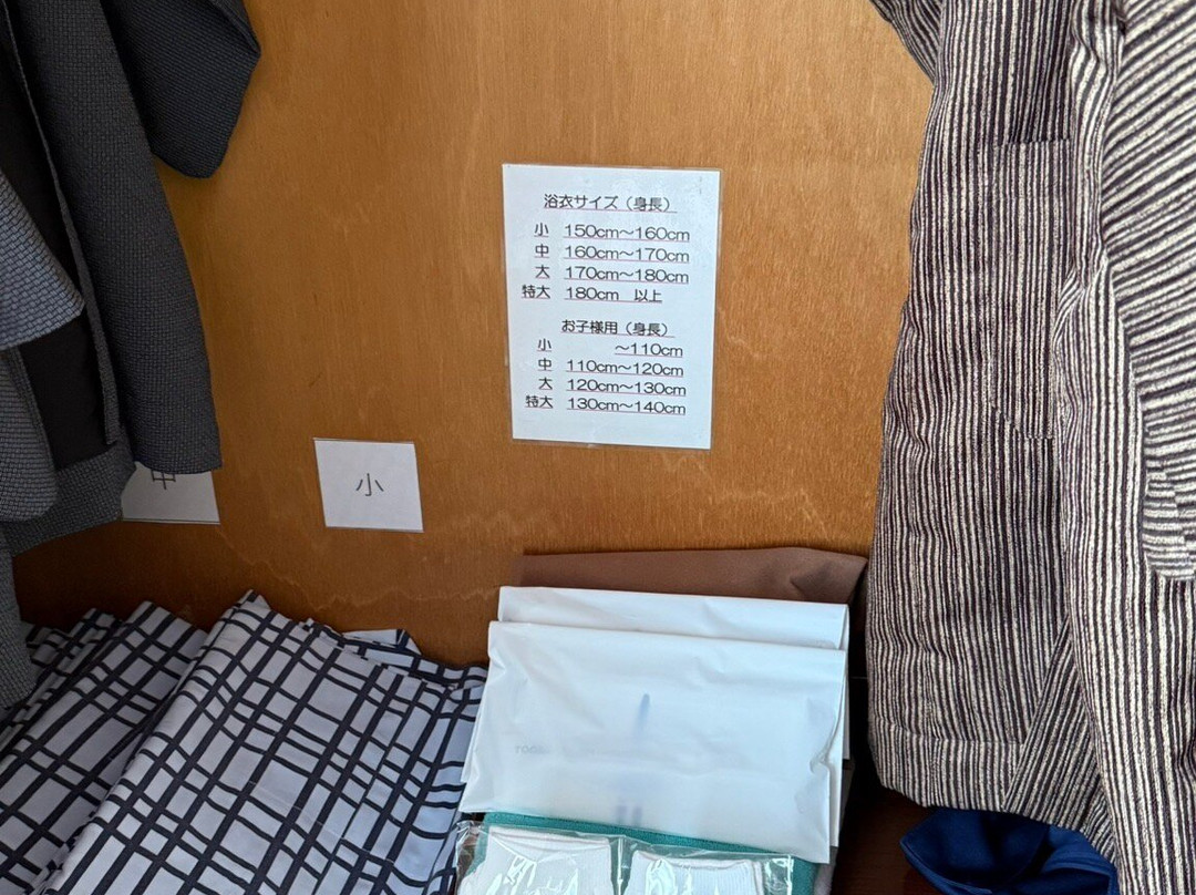 草津温泉 一井酒店主图