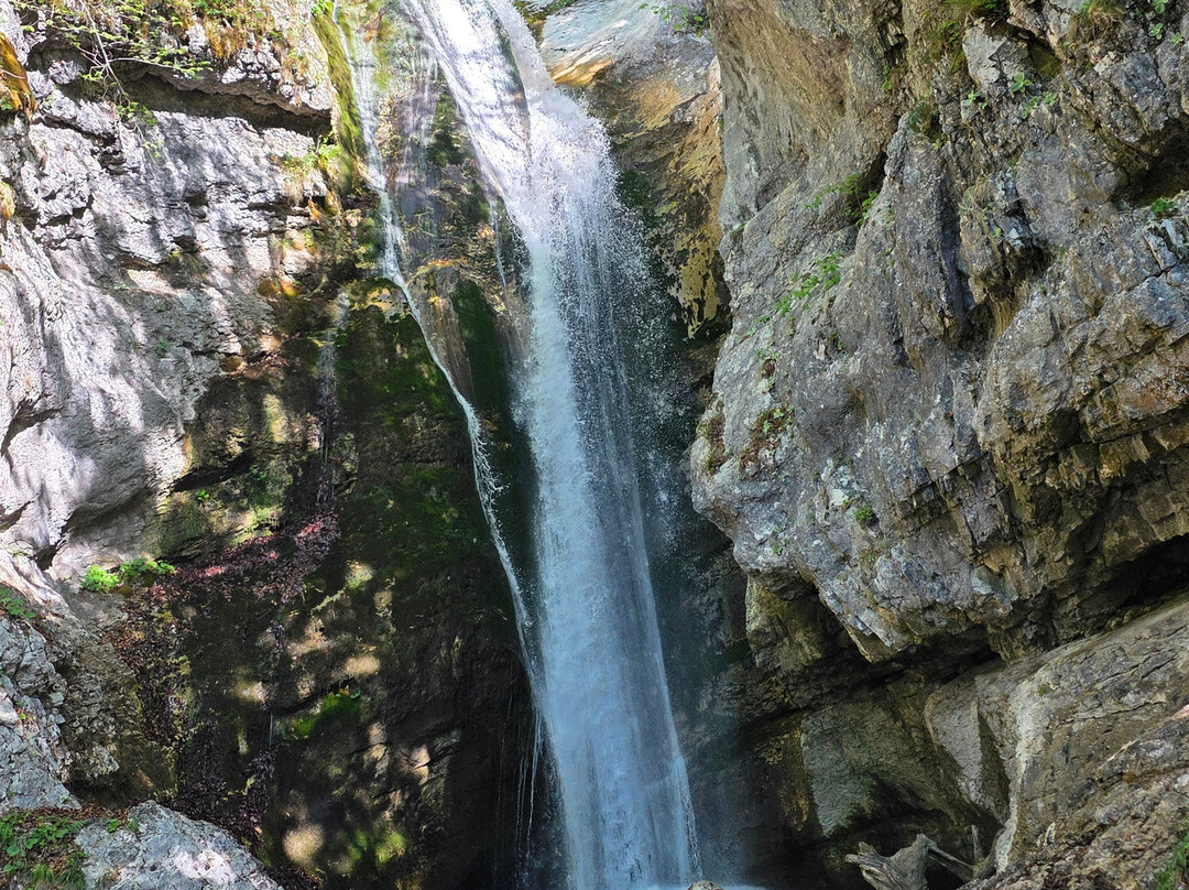 Hike&Bike Slovenia-博希尼湖必去景点