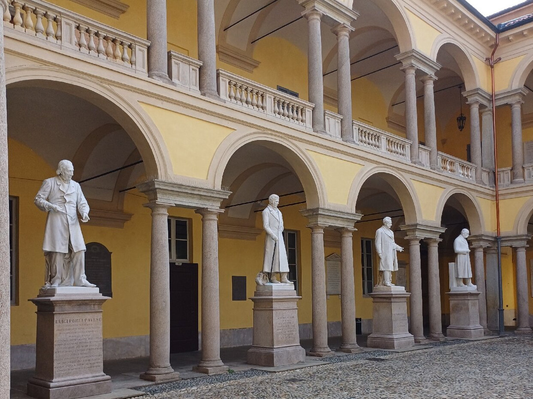 Pavia University History Museum-帕维亚必去景点