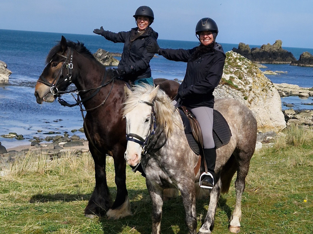 Bespoke Equestrian Ireland-都柏林必去景点