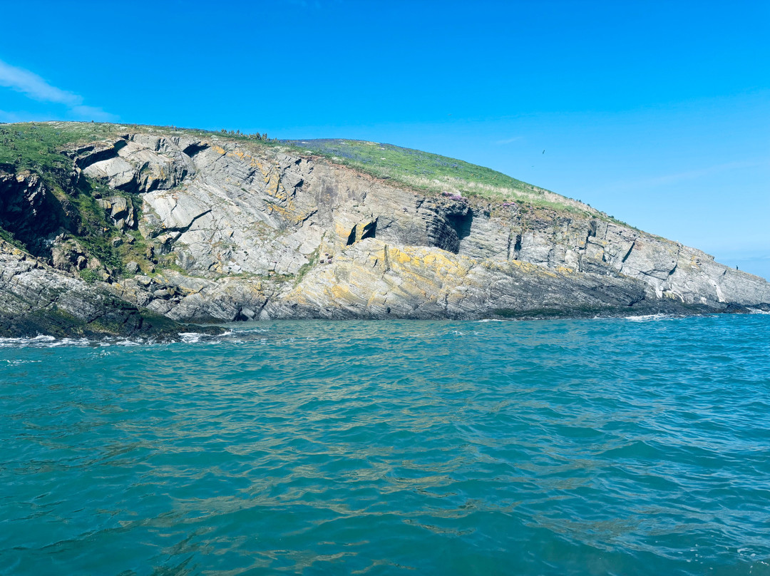 A Bay To Remember Wildlife Boat Trips-St. Dogmaels必去景点