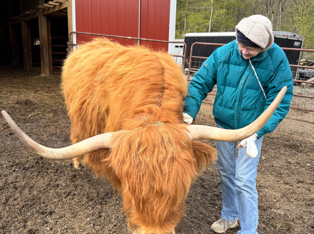 Elk Ravine Farm-Amenia必去景点