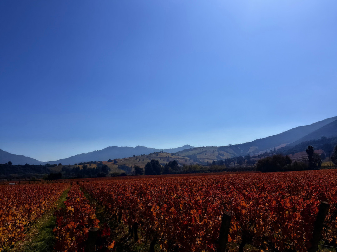 Colchagua Turismo Rural-圣克鲁斯必去景点
