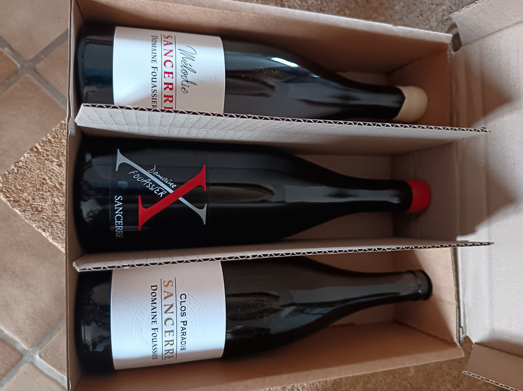 Domaine Fouassier-桑塞尔必去景点