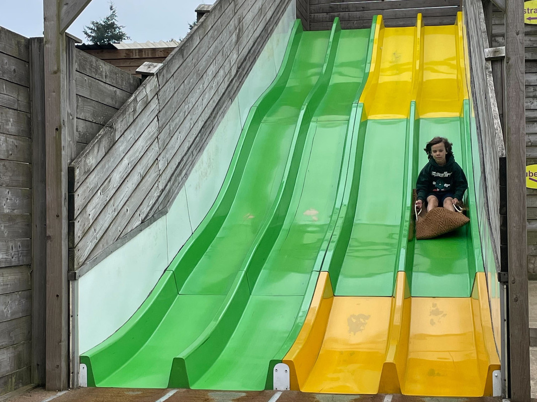 Blackberry Farm Park-刘易斯必去景点