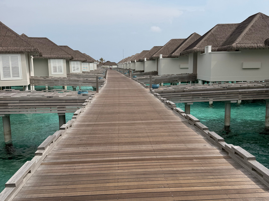 马尔代夫芭海滨费诺鲁Design Hotels主图