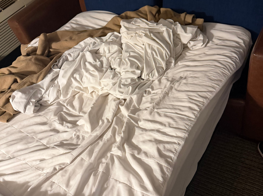 大狼小屋主图