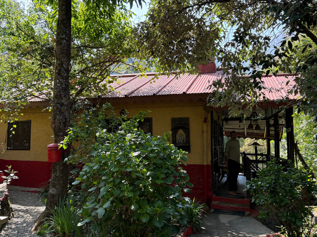 丛林传说观鸟小屋主图