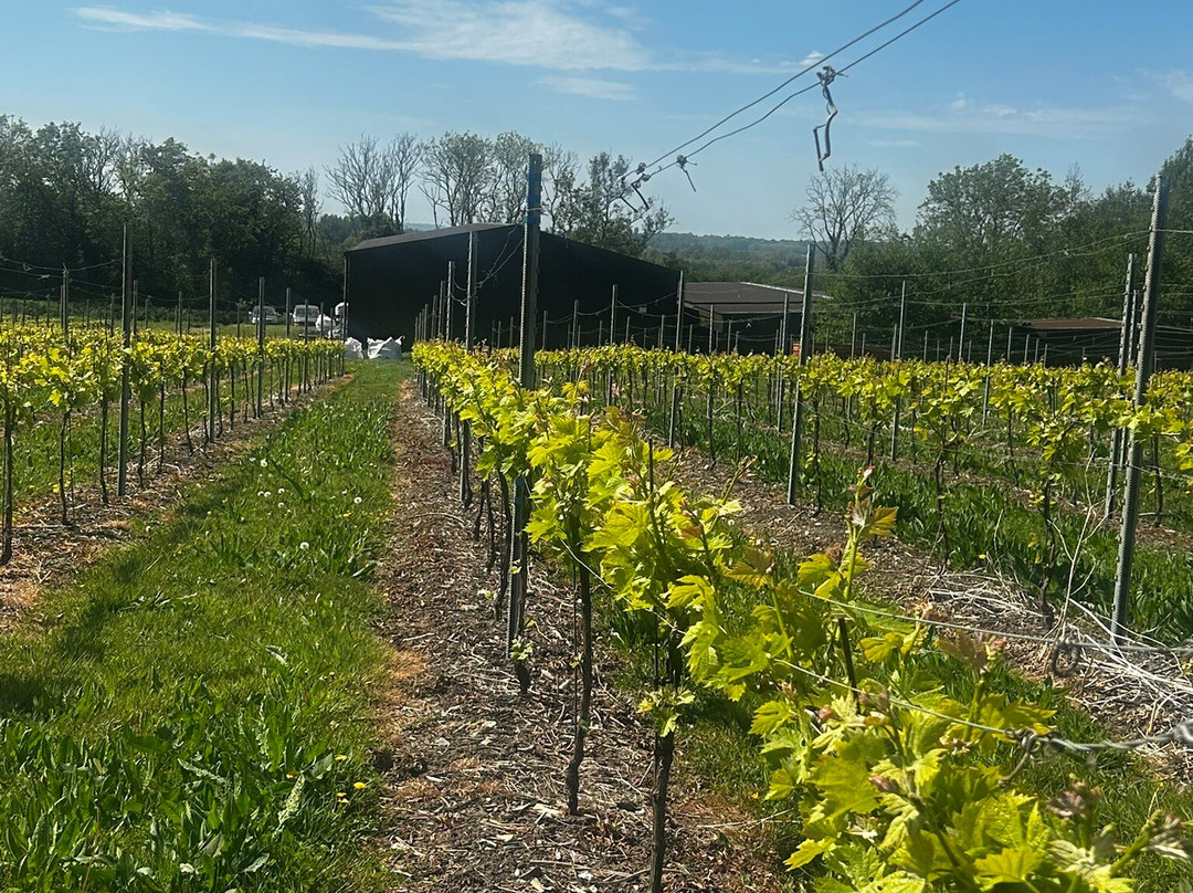 Westwell Wine Estate-Charing必去景点