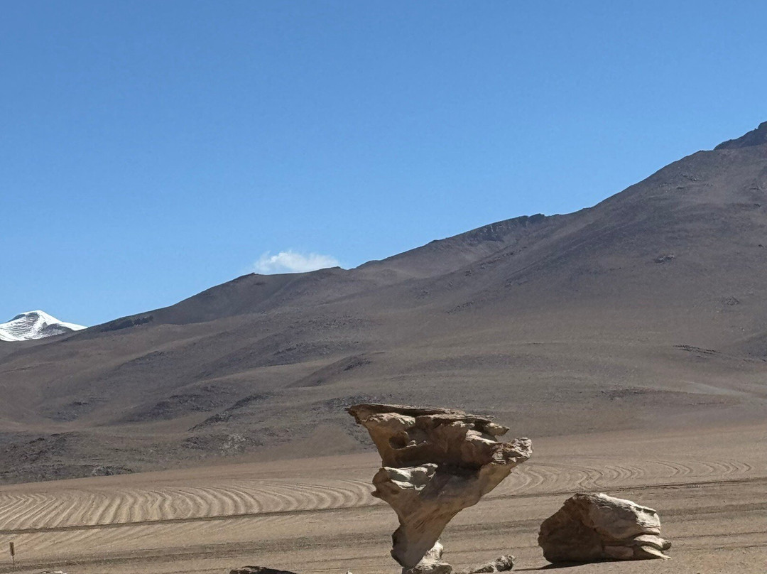 Eduardo Avaroa National Reserve of Andean Fauna-Potosi Department必去景点