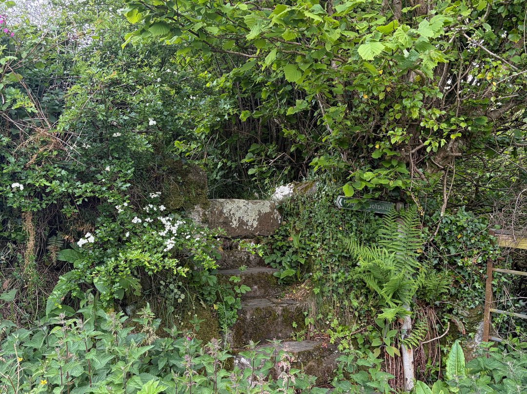 St Neot Two Valleys-St. Neot必去景点