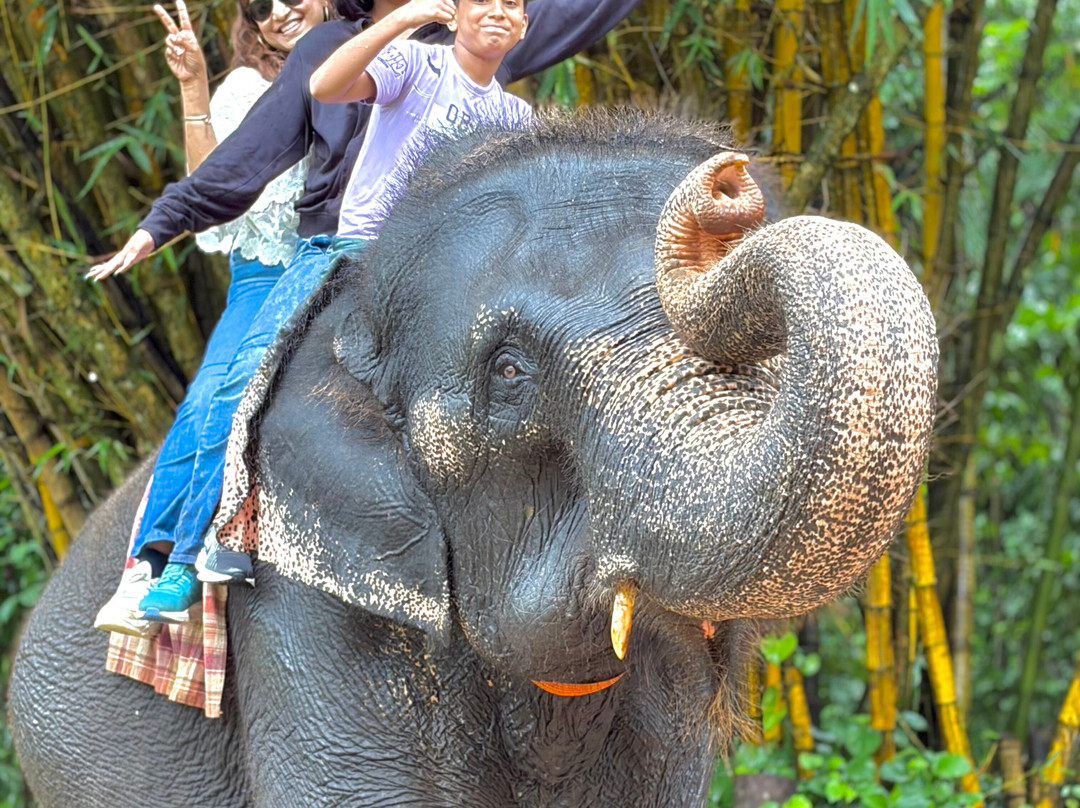 Sri Lanka Signature Tours-Madampe必去景点