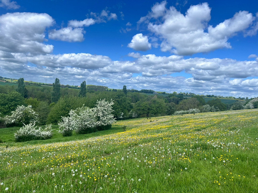 Towton Battlefield-Towton必去景点