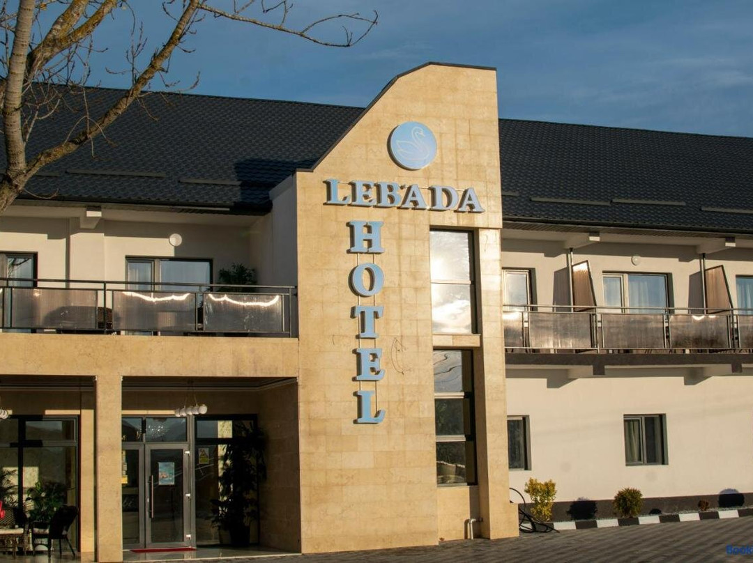 Complex Lebada Botosani