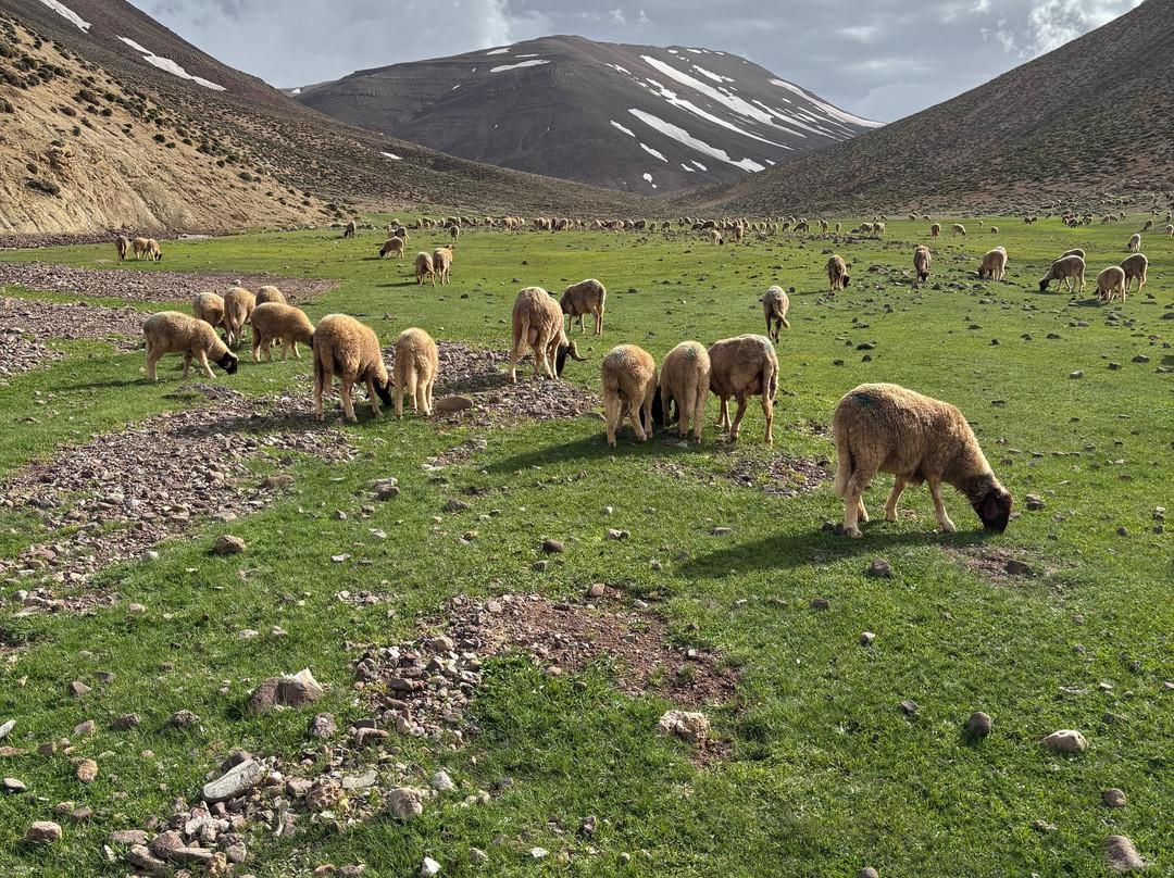 Eco Tourisme Trek Maroc-Azilal必去景点