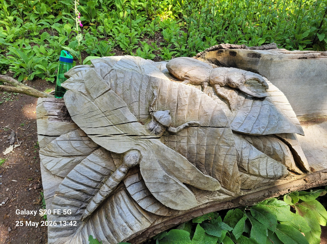 Fairhaven Woodland and Water Garden-South Walsham必去景点