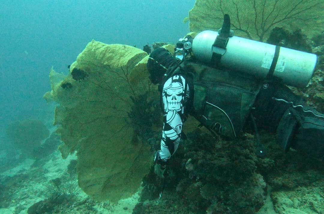 Allan Power Dive Tours-埃斯皮里图桑托岛必去景点