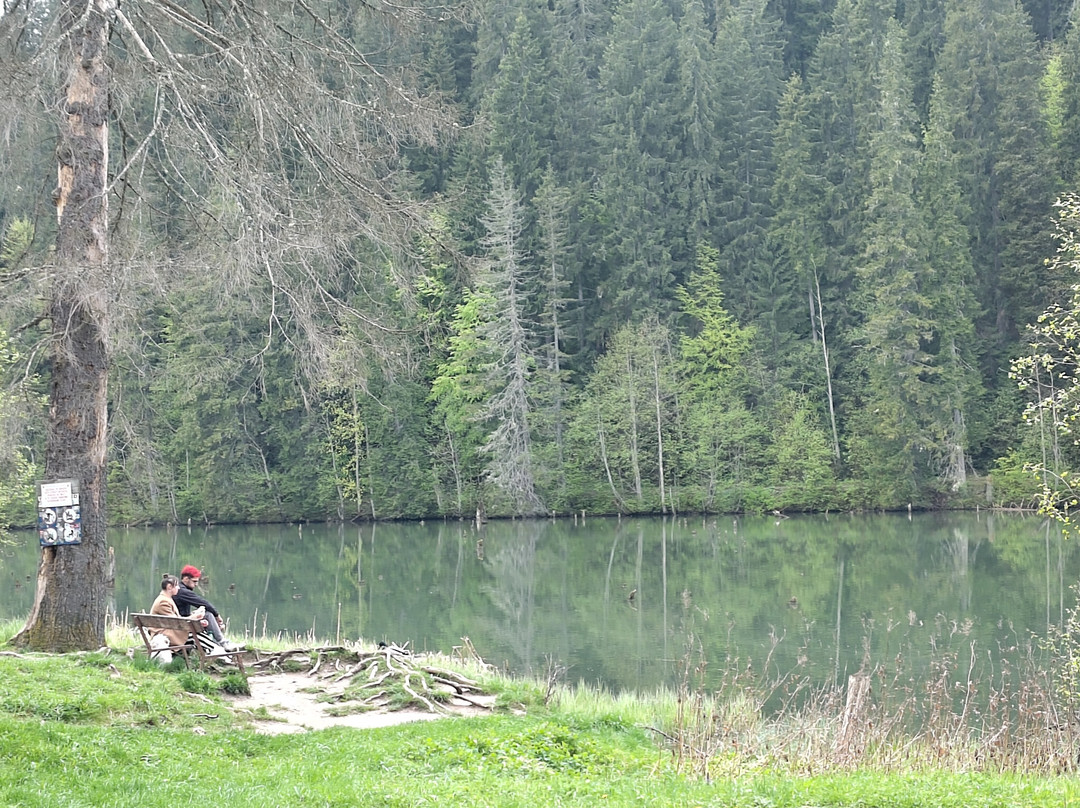 Lake Izvorul Muntelui (Lake Bicaz)-Piatra Neamt必去景点