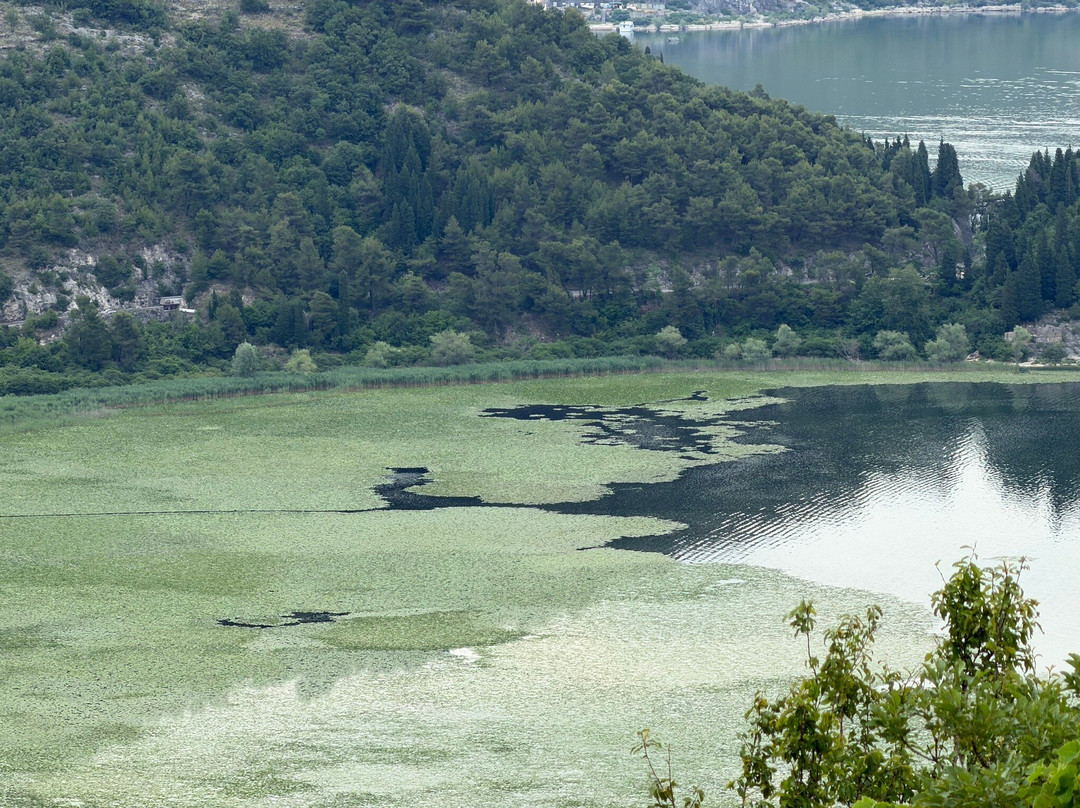 Shkoder旅游景点-Shkodra Lake