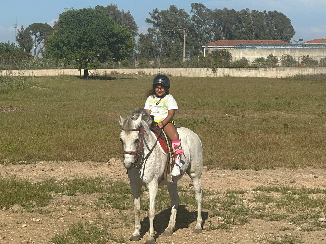 Belek Safari | Horse Riding Tour-Kumkoy必去景点