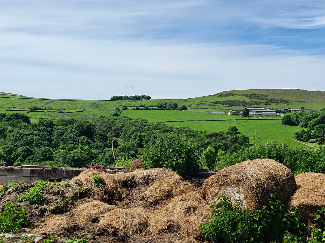 Cronkshaw Fold Farm-Rossendale必去景点