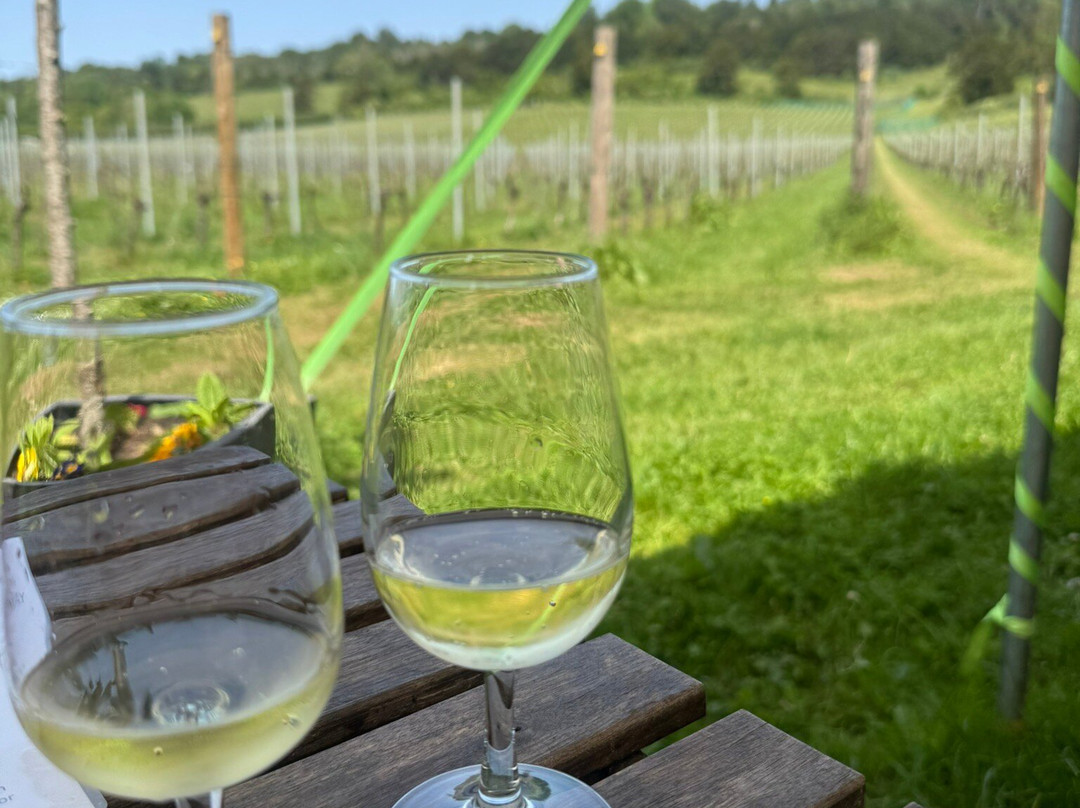 Albury Organic Vineyard-Albury必去景点