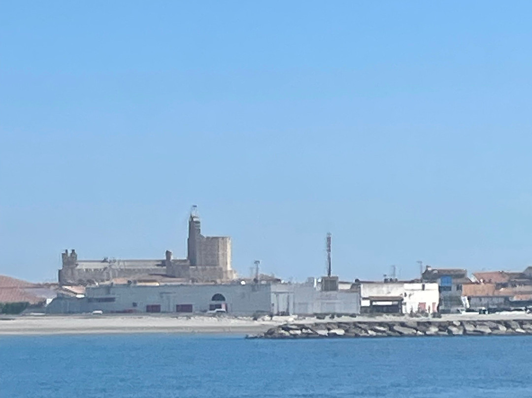Bateau de Promenade le Camargue-滨海圣玛丽必去景点