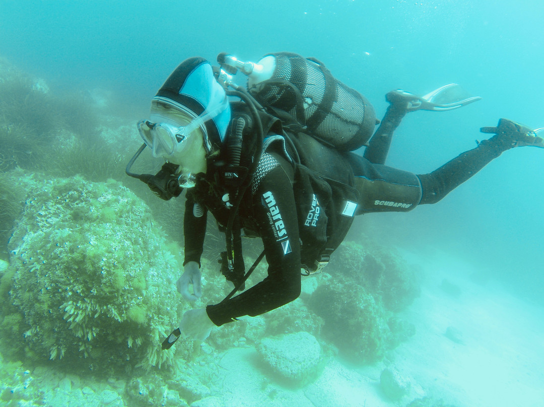 East Coast Divers Mallorca-Portocolom必去景点