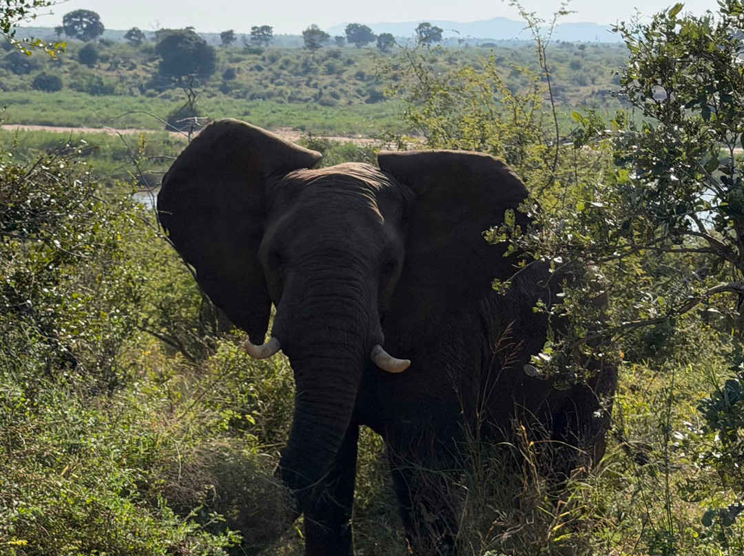 Southern Kruger Safaris-玛洛斯帕克必去景点