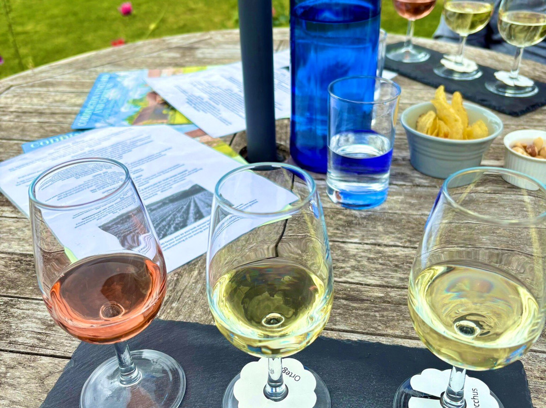 Coddington Vineyard-Ledbury必去景点