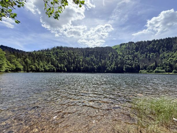 Landgasthof Zum Dorfkrug-旅行者