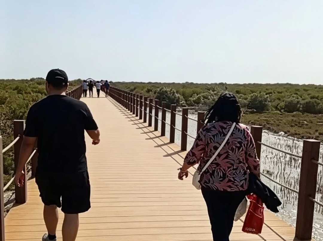 Purple Island - Al Khor Island-Al Khor必去景点