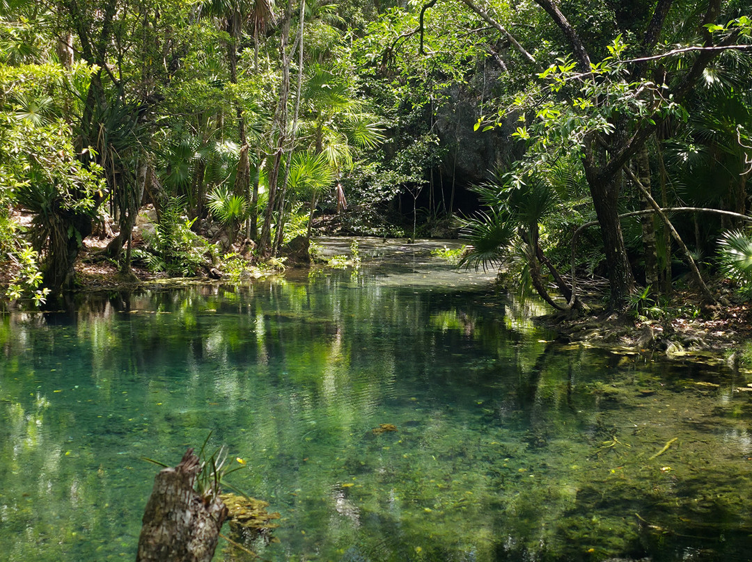 Dressel Divers Playa Del Carmen-普拉亚德尔卡曼必去景点