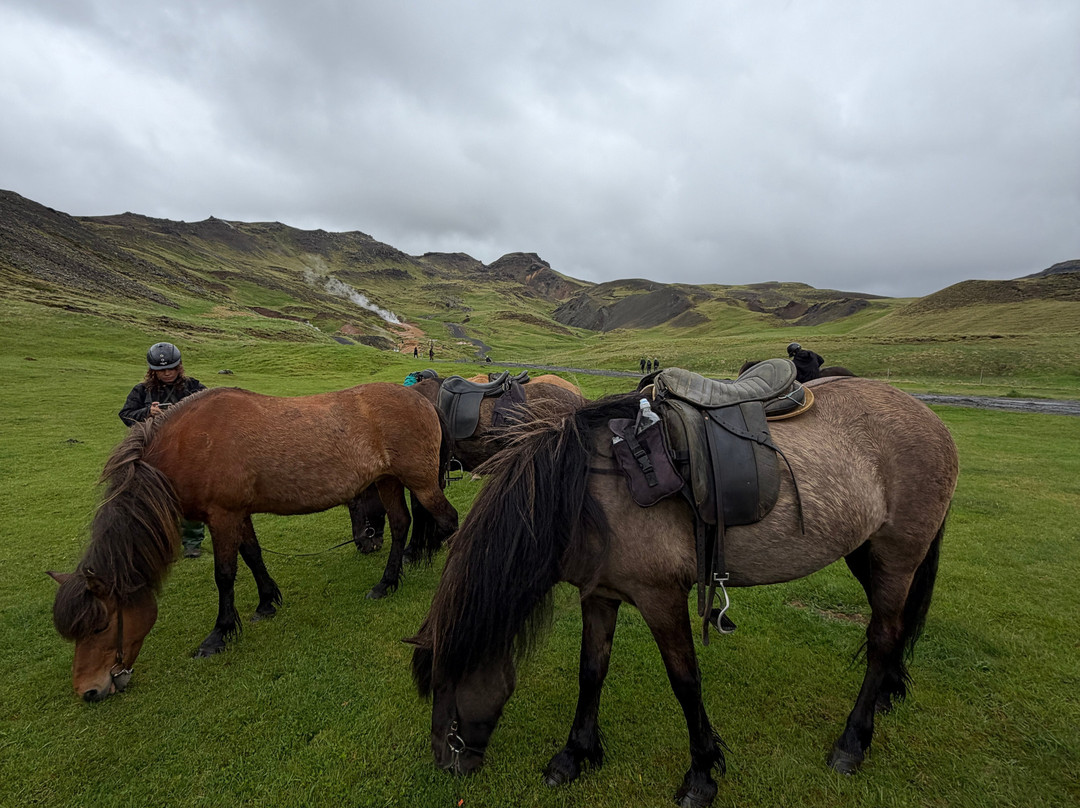Eldhestar Volcano Horses-Olfus必去景点