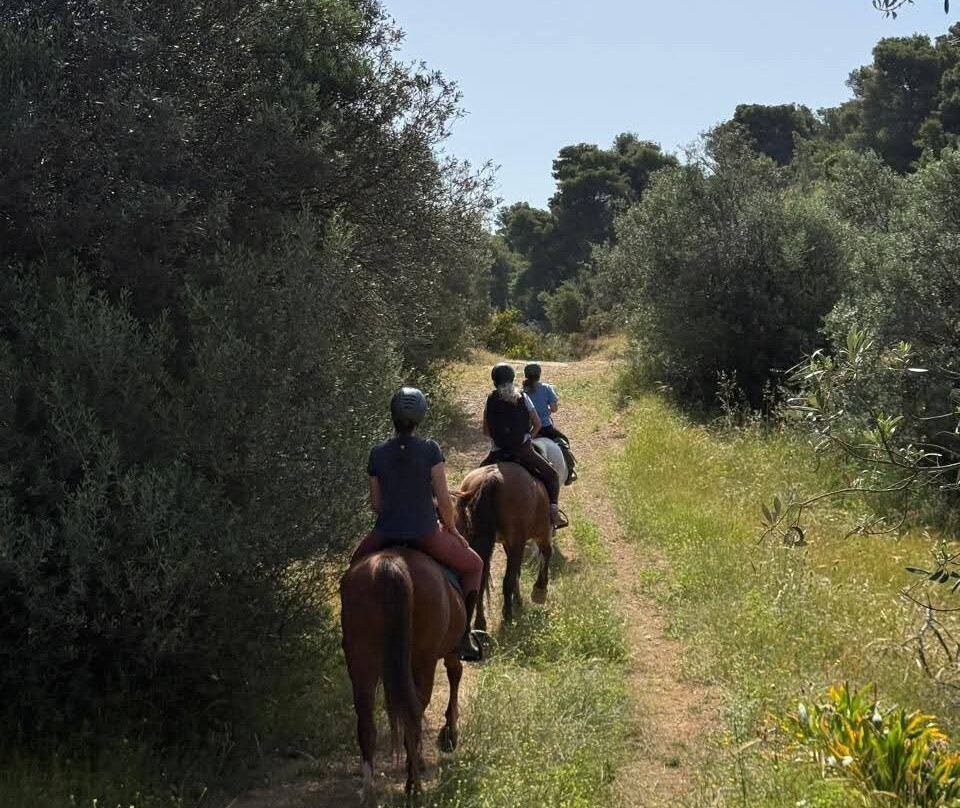 Wild Thyme Ranch-Kranidi必去景点