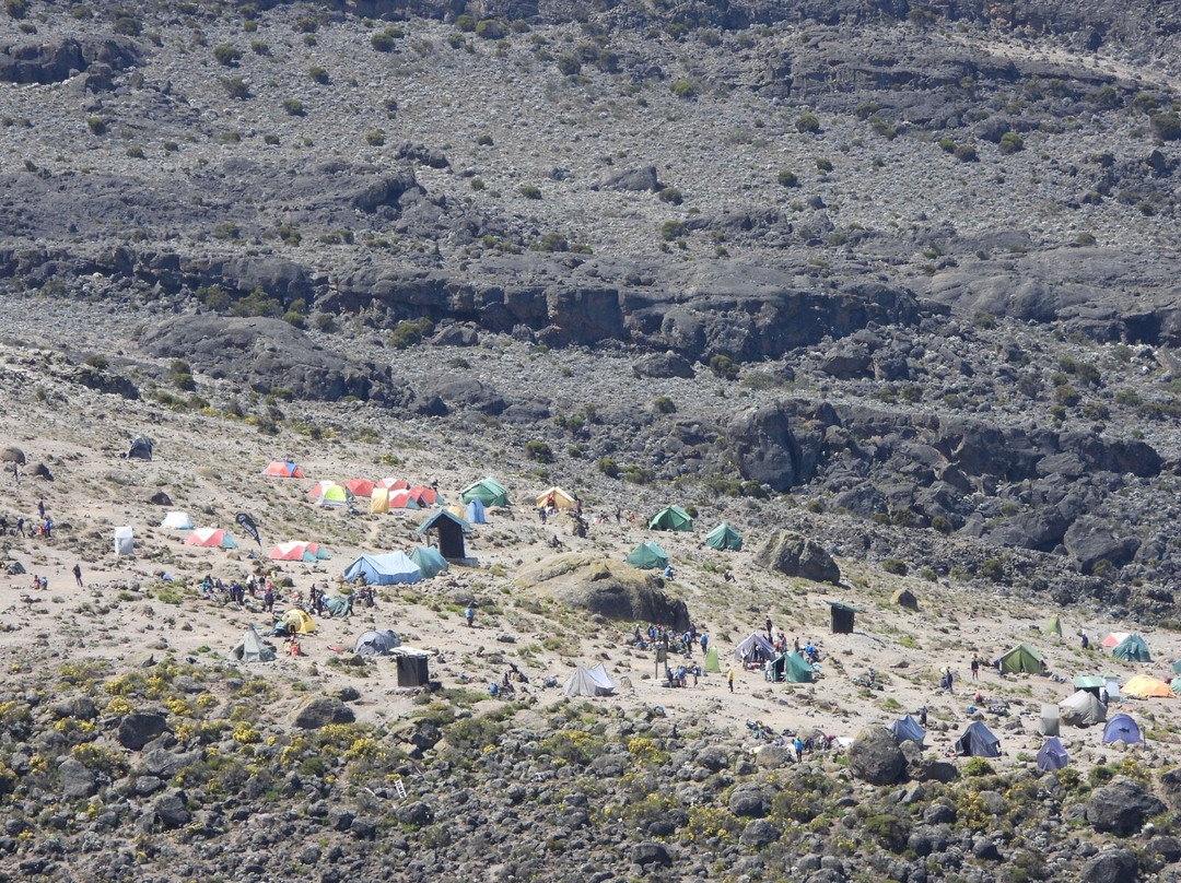 Mount Kilimanjaro-乞力马扎罗山国家公园必去景点