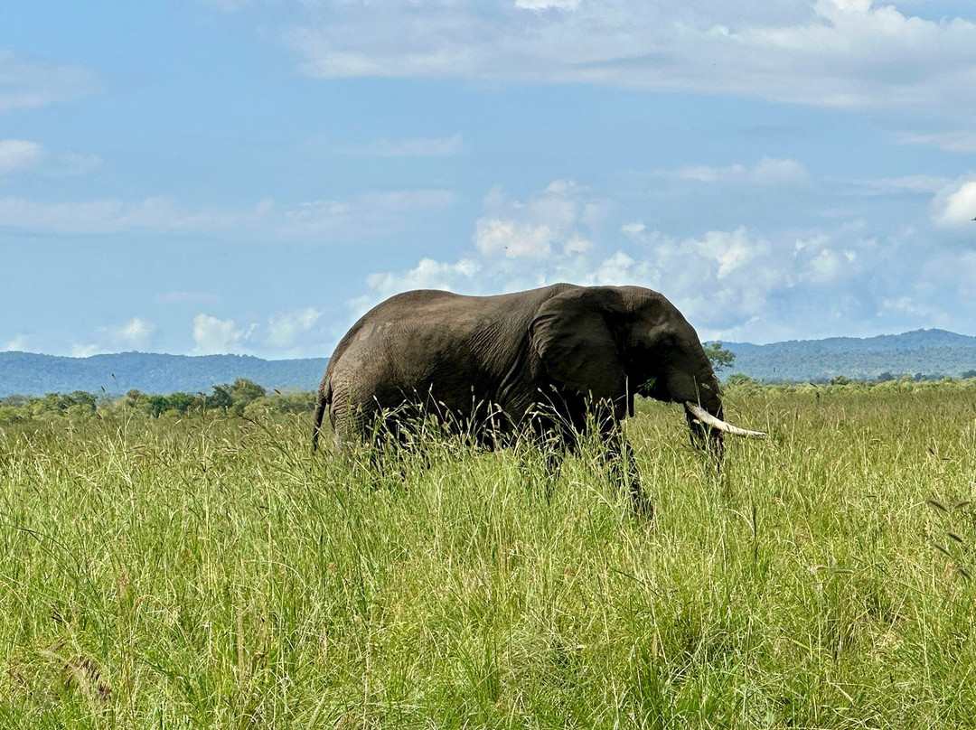 NICE ADVENTURE SAFARI-Dar es Salaam必去景点