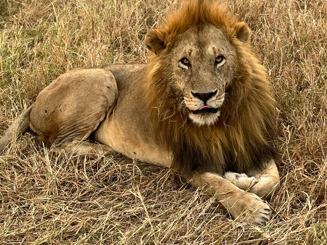 Zara Tanzania Adventures-莫西必去景点