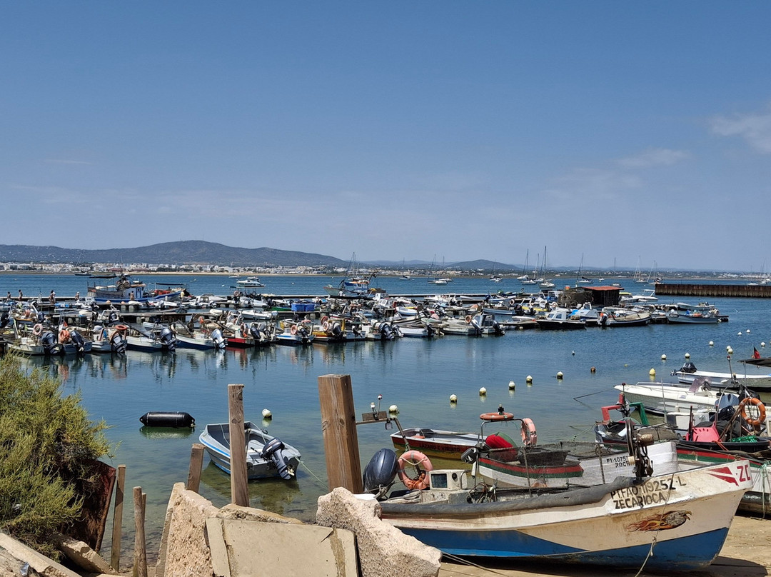 Rota das Ilhas - Boat Tours-奥良必去景点